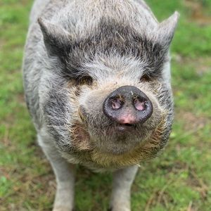 Meet your Posher, Jody